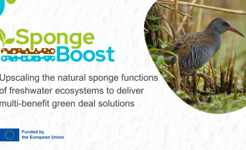 Providing solutions to restoring the natural water retention function of landscapes: Pensoft joins the SpongeBoost project