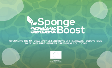 SpongeBoost Introduction Video