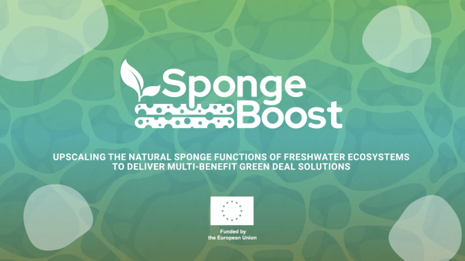 SpongeBoost Introduction Video