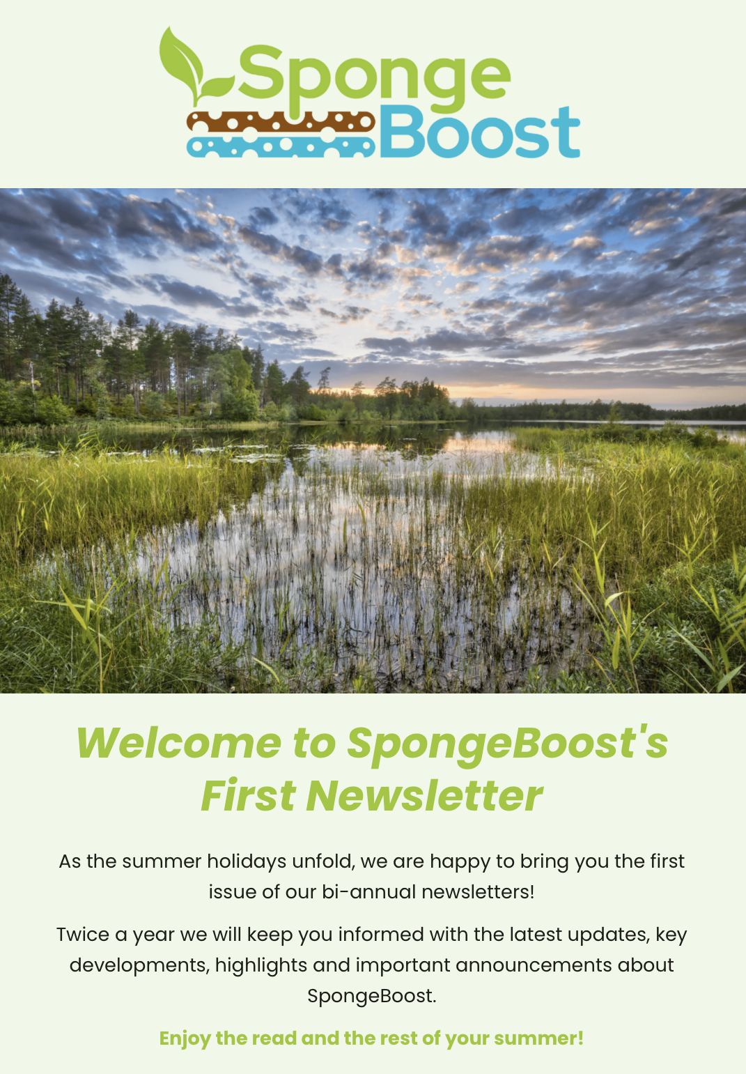 SpongeBoost Newsletter, July 2024 newsletter cover