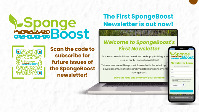 SpongeBoost's first newsletter is in your boxes now!