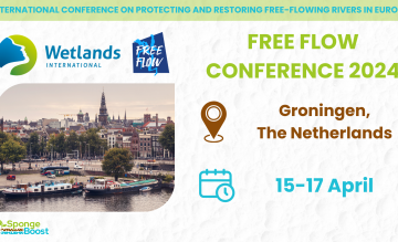 SpongeBoost partner presents at Free Flow Conference 2024