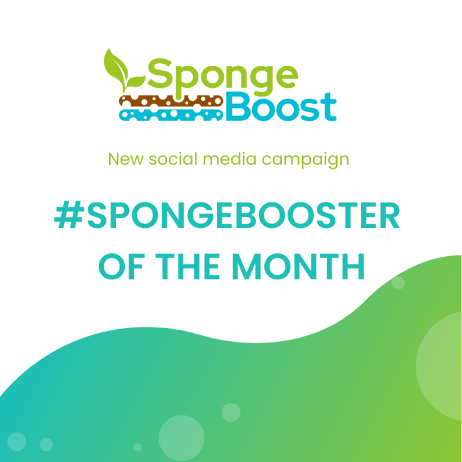 SpongeBooster of the month - a new monthly social media campaign