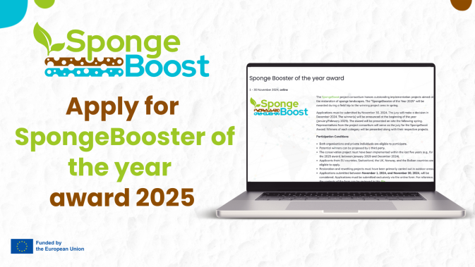 Open applications for the first edition of "SpongeBooster of the Year" award