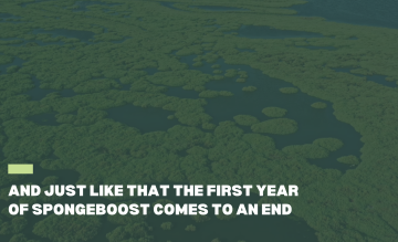 A Look Back at 2024: A Year of Progress