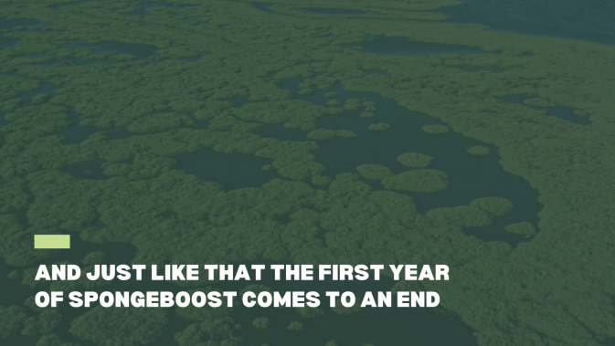 A Look Back at 2024: A Year of Progress