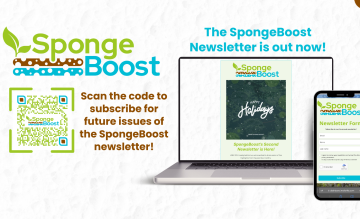 SpongeBoost releases its second newsletter
