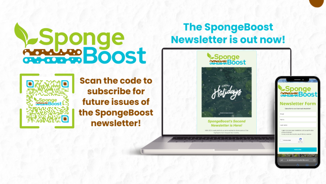 SpongeBoost releases its second newsletter