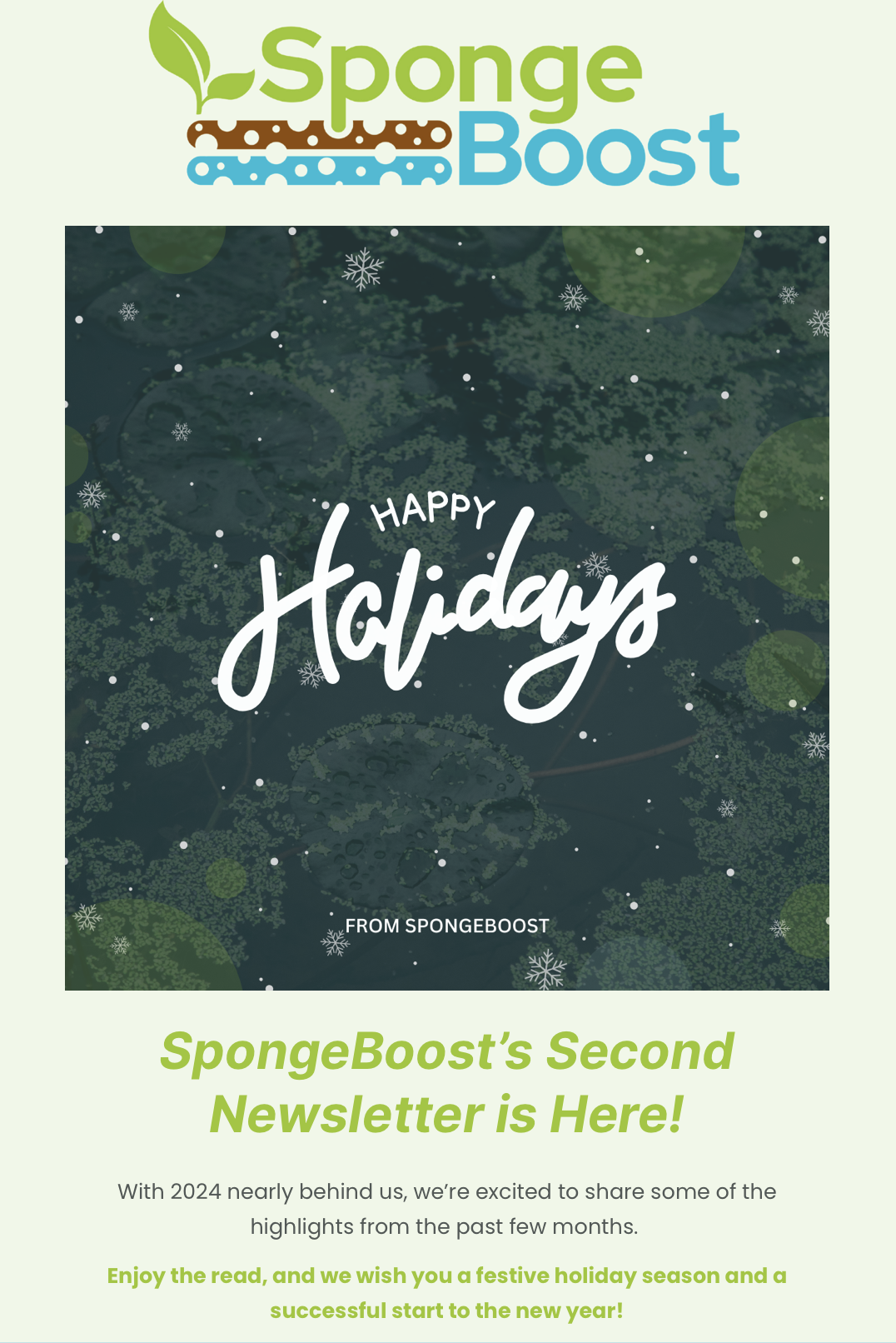 SpongeBoost Newsletter, December 2024 newsletter cover