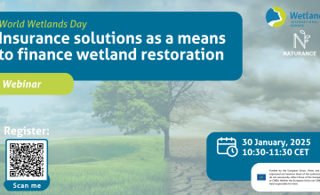 Webinar: Insurance solutions as a means to finance wetland restoration