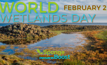 World Wetlands Day