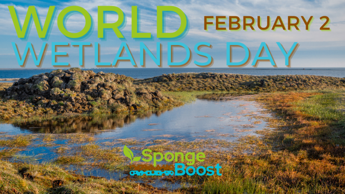 World Wetlands Day