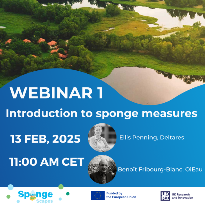 SpongeScapes Webinar – Introduction to sponge measures