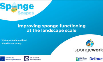 Highlights from SpongeScapes webinar "Introduction to Sponge Measures"