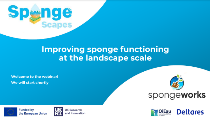Highlights from SpongeScapes webinar "Introduction to Sponge Measures"