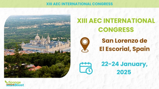 SpongeBoost parters from CIREF attended the XIII AEC International Congress