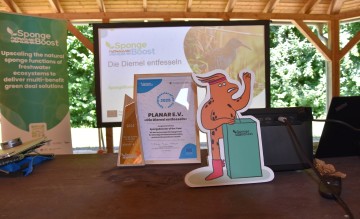 The first “SpongeBooster of the Year” award celebrates efforts in wetland restoration