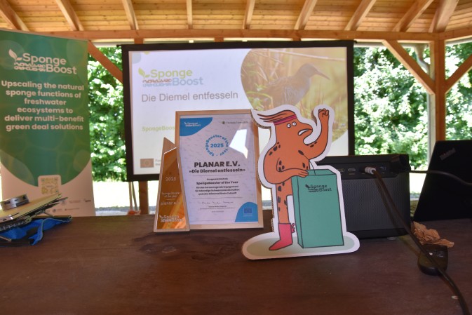 The first “SpongeBooster of the Year” award celebrates efforts in wetland restoration