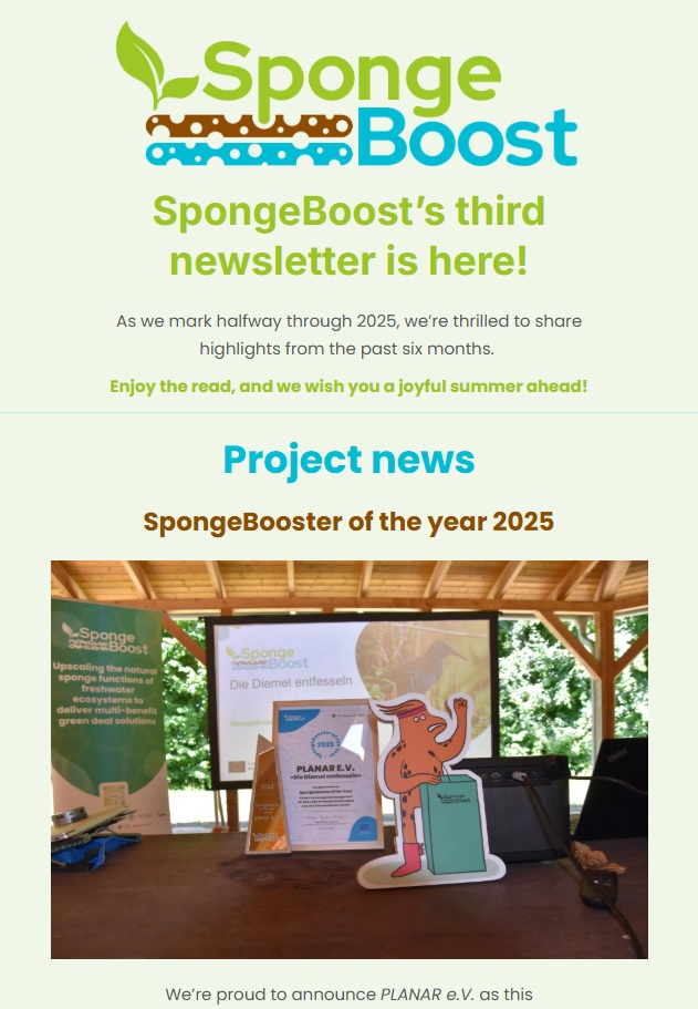SpongeBoost Newsletter,      June 2025 newsletter cover