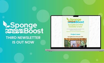 SpongeBoost’s third newsletter is here
