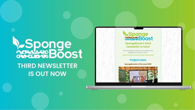 SpongeBoost’s third newsletter is here