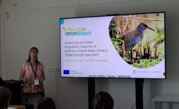SpongeBoost presented at the 2th INTECOL Wetlands Conference