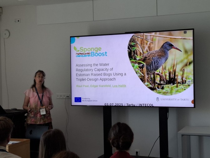 SpongeBoost presented at the 2th INTECOL Wetlands Conference