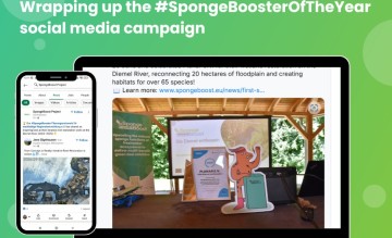 Wrapping up the #SpongeBoosterOfTheYear social media campaign