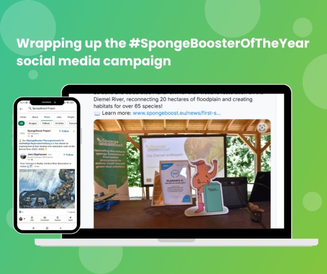 Wrapping up the #SpongeBoosterOfTheYear social media campaign