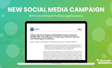 SpongeBoost presents a second social media campaign - #PreviousResearchofSpongeBoosters