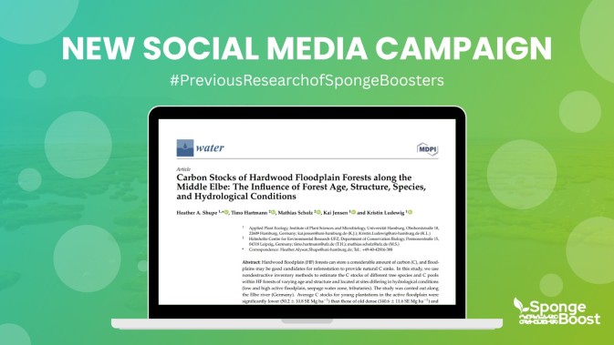 SpongeBoost presents a second social media campaign - #PreviousResearchofSpongeBoosters