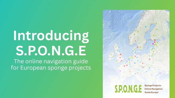 Introducing S.P.O.N.G.E – the online navigation guide for European sponge projects