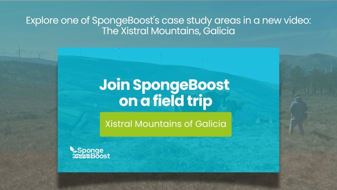 Explore one of SpongeBoost's case study areas in a new video: The Xistral Mountains, Galicia
