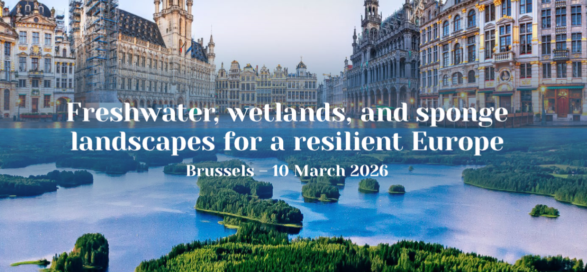 Freshwater, Wetlands, and Sponge Landscapes for Resilient Europe: Policy Insights from Flagship Projects