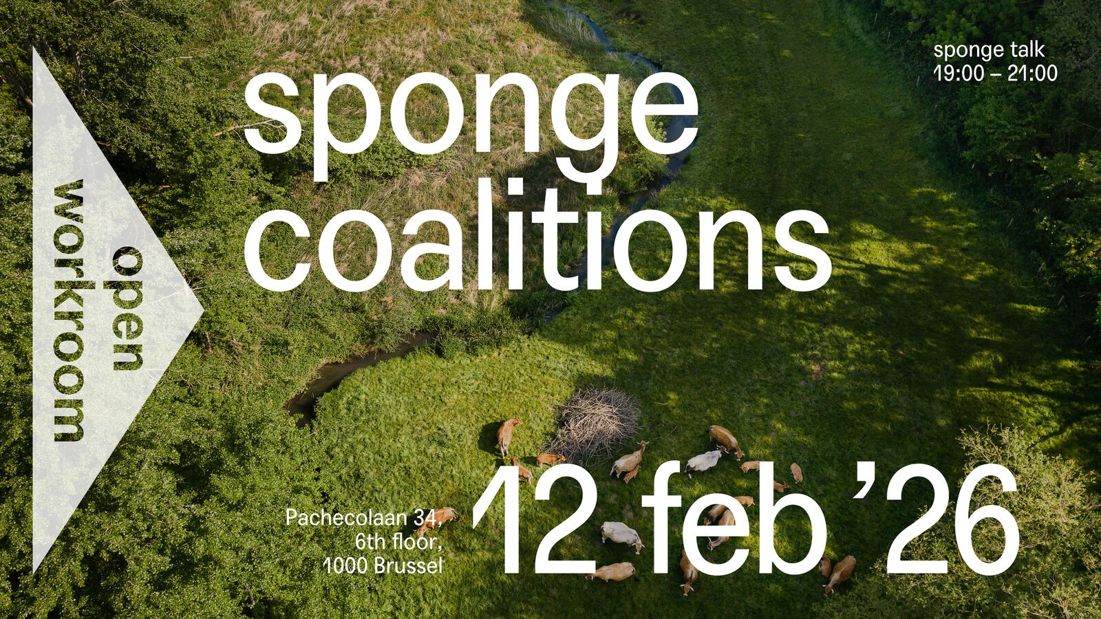 SPONGE TALK – Sponge Coalitions