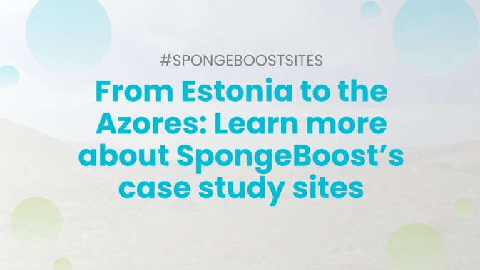 From Estonia to the Azores: Learn more about SpongeBoost’s case study sites