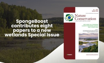 SpongeBoost contributes eight papers to a new wetlands Special Issue