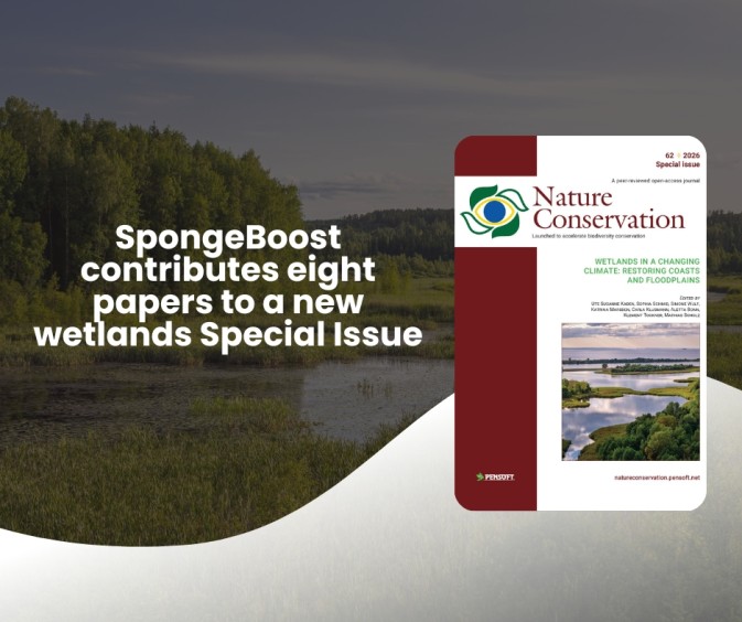 SpongeBoost contributes eight papers to a new wetlands Special Issue