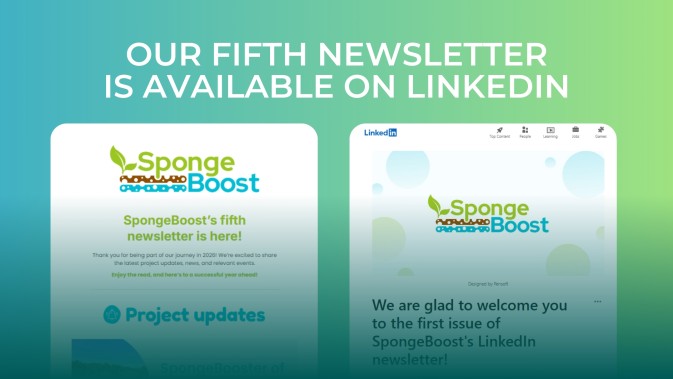 The new edition of SpongeBoost's newsletter is available on LinkedIn