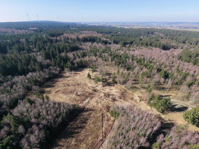 Schneifel, Germany: Restoration implementation underway