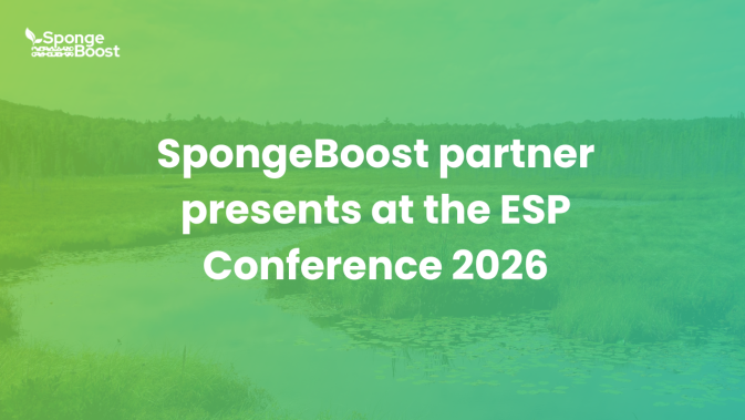 SpongeBoost partner presents wetland restoration practices at the ESP Conference 2026