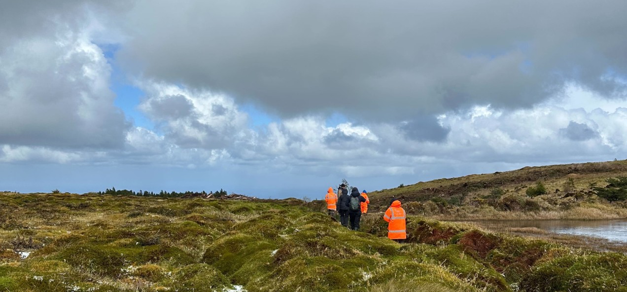 Graminhais Plateau