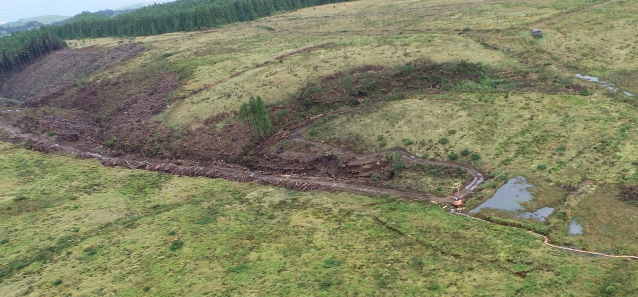 Graminhais Plateau