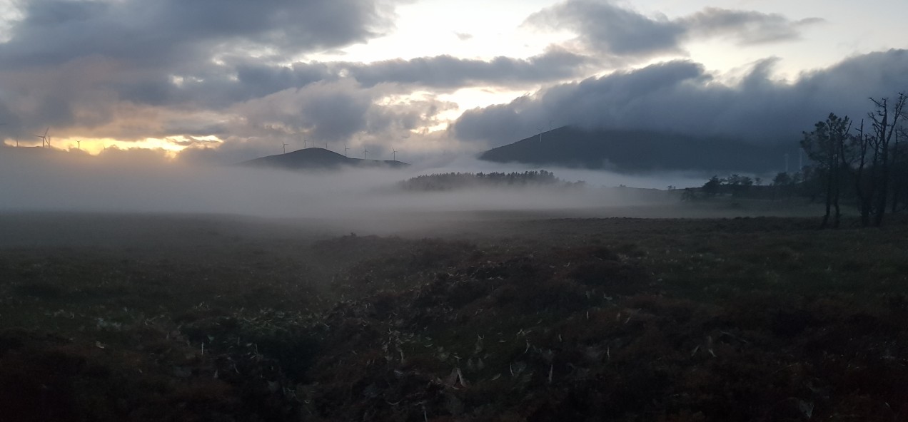 Serra do Xistral Peatlands