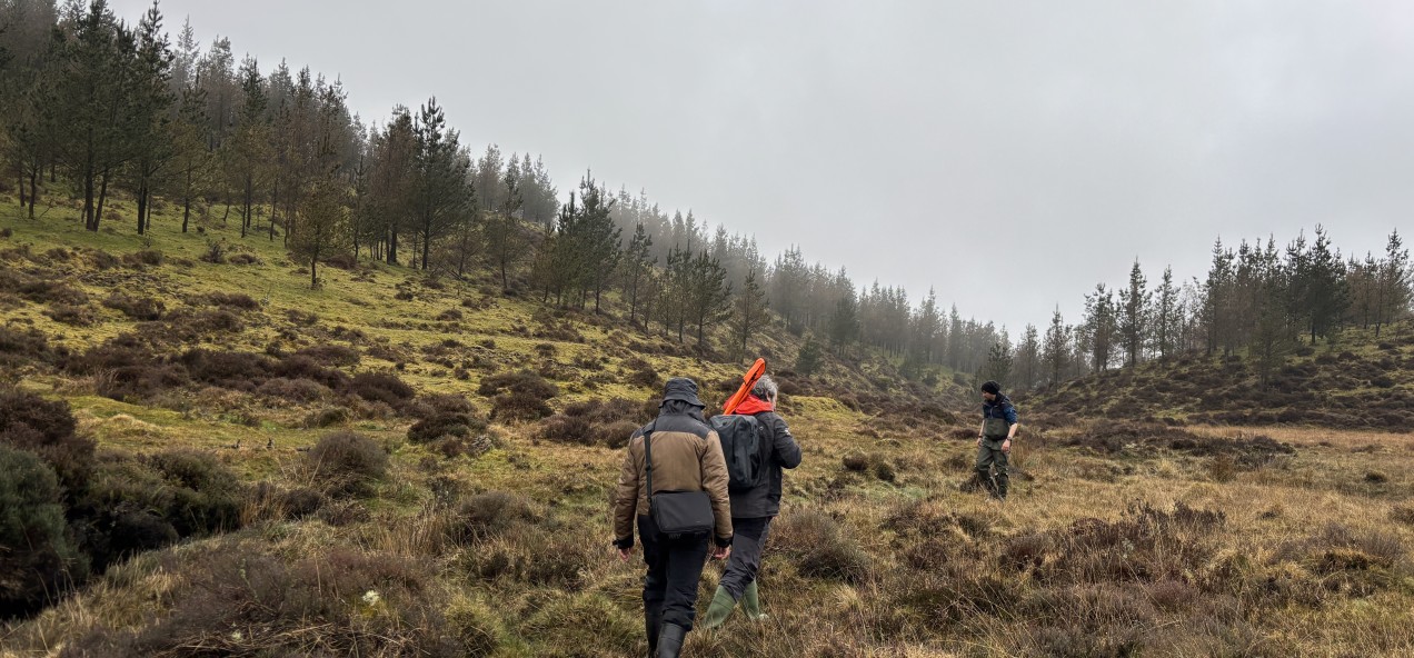 Serra do Xistral Peatlands