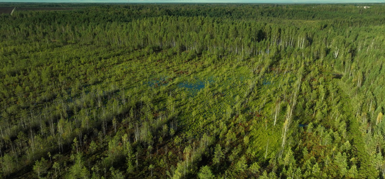 Pärnu Catchment