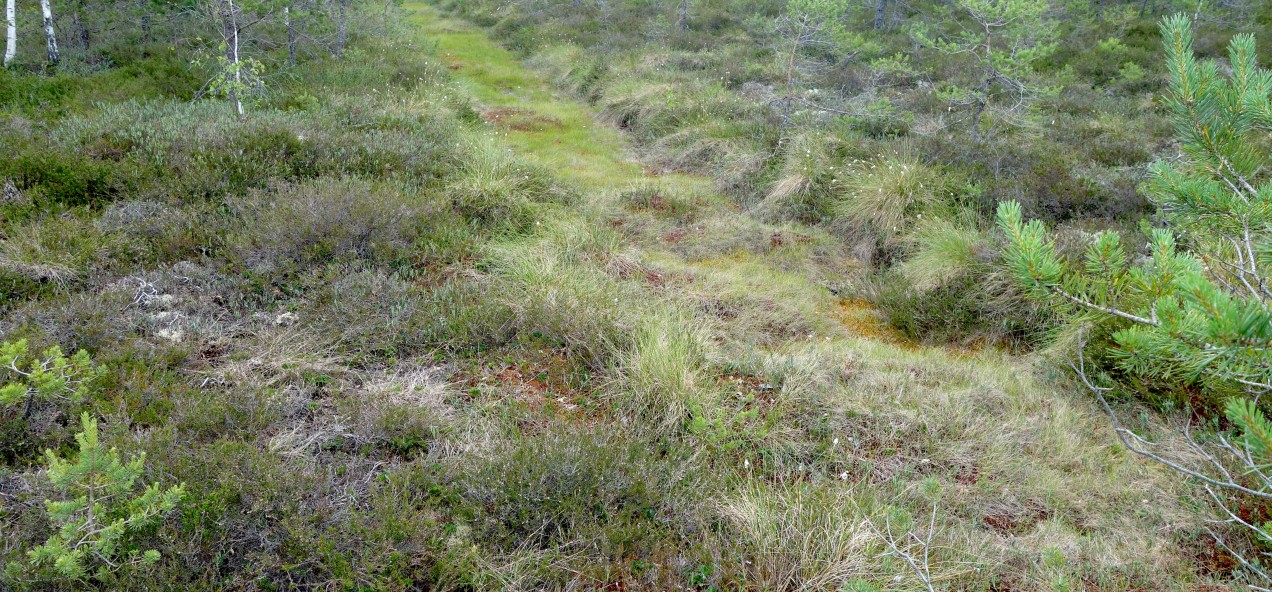 Pärnu Catchment