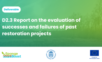 Results from SpongeBoost’s analysis on nature-based water management strategies for landscape restoration