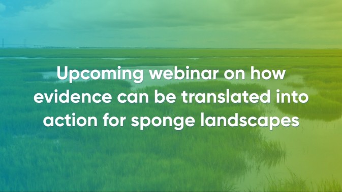 Upcoming webinar on how evidence can be translated into action for sponge landscapes