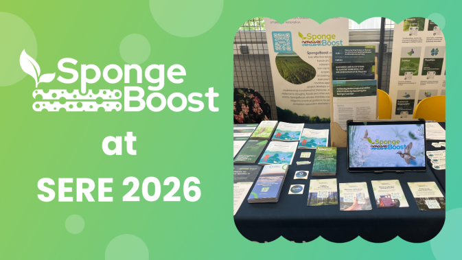 SpongeBoost at SERE2026